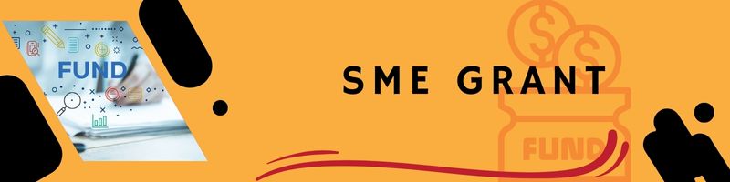 Unlocking Possible Supports: A Guide to Grants for Singapore SMEs