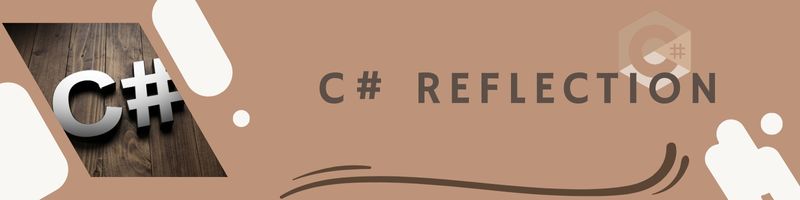 Exploring Reflection in C#: Dynamically Accessing Object Properties and Database Operations
